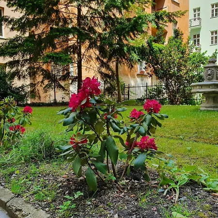 Apartment Prague Daire *